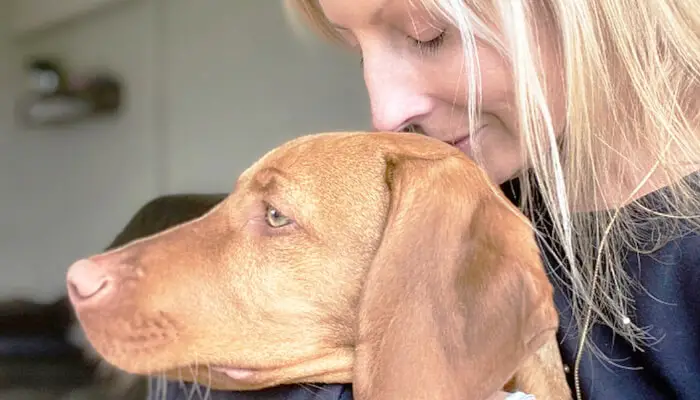 How To Know If Your Vizsla Loves You: